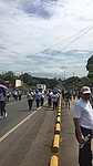March for the Environment
